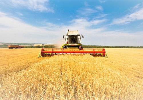 Эксперты в очередной раз повысили прогноз сбора зерна в РФ в этом году